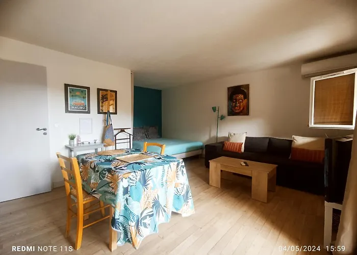 Studio French Riviera
